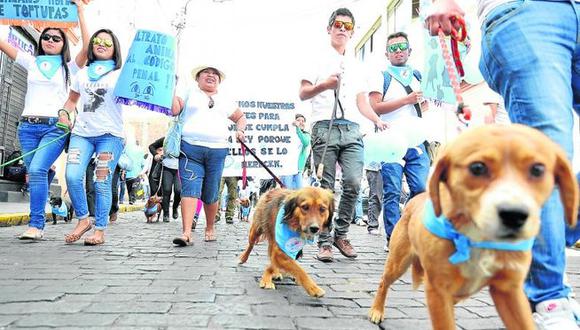 Colombia: Sancionarán con 3 años de cárcel el maltrato animal