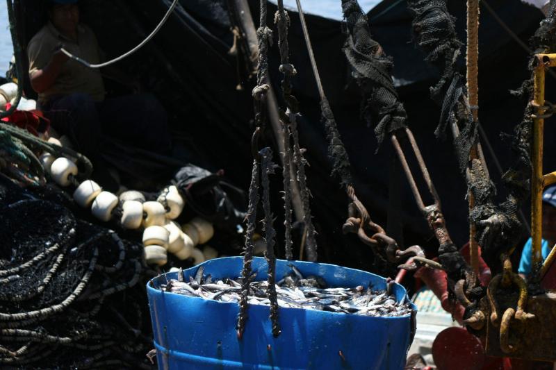 Roban 70 mil dólares en aparejos de empresa pesquera