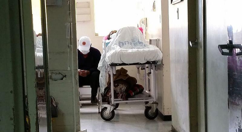 Confirman primera muerte por rabia humana en el Perú