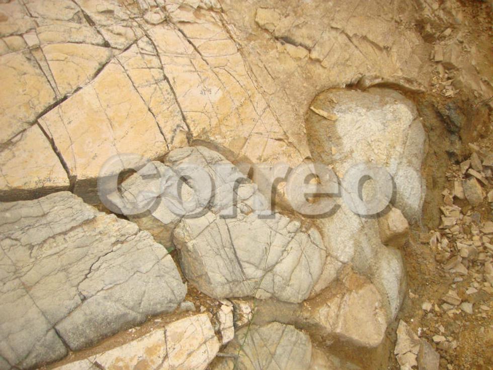 En cerro de Huachac hallan fósiles prehistóricos (VIDEO)
