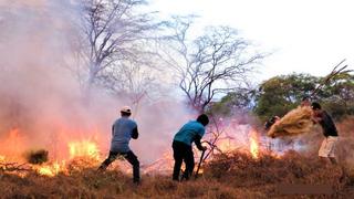 Piura contará con primer plan de contingencia ante incendios forestales