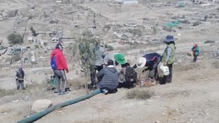 Arequipa: Vecinos de El Cebollar cuidan el medio ambiente plantando árboles 