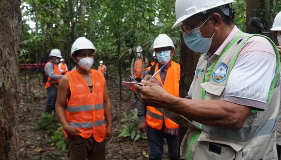 El MEF destina una partida adicional superior a los 17 millones de soles para reactivar sector forestal de las regiones amazónicas de Ucayali, Loreto y Madre de Dios.