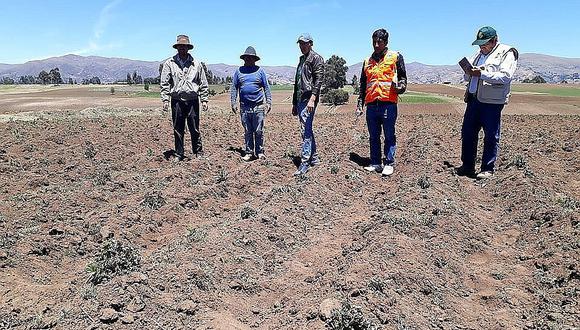 Pérdidas por sequías obligan a gestionar qochas en zonas agrarias 