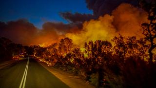Australia: Inundaciones e incendios forestales azotan la costa del país