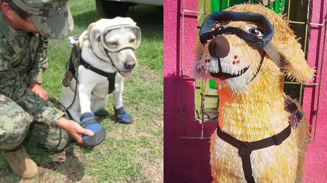 'Frida' la perra rescatista de México es imagen de distintos productos 