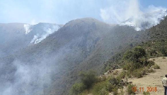 Más de mil hectáreas de cobertura vegetal destruidas por incendios forestales