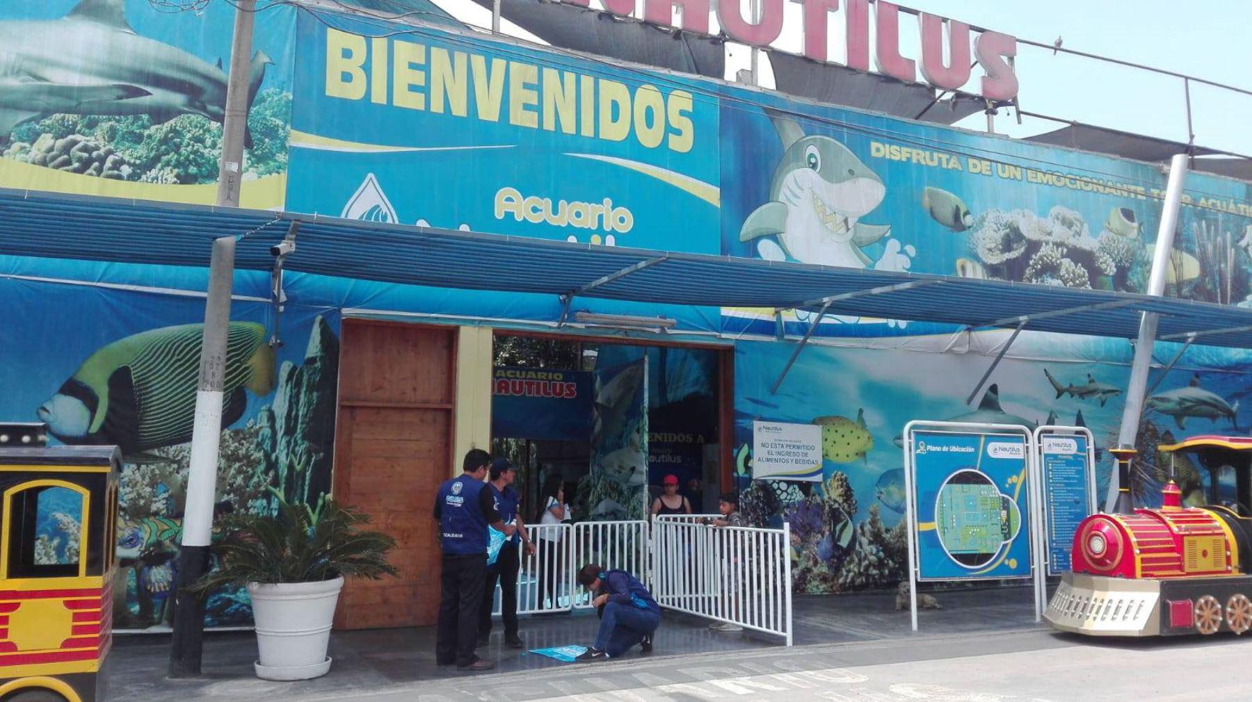 Acuario Nautilus es visitado por miles de personas cada semana. (Foto: Difusión)