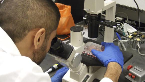 OMS probará vacuna contra el ébola fabricada en Canadá