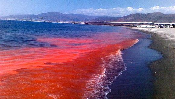 Chile alerta "inédito" aumento de marea roja