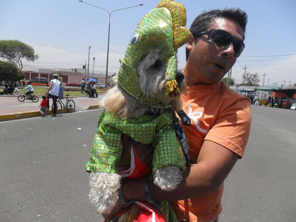 "Cholito Cusqueño" ganó en concurso de disfraces canino