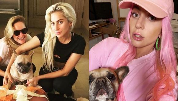 El paseador del perro de Lady Gaga fue secuestrado por un hombre desconocido. (Foto: @ladygaga)