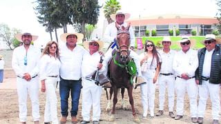 La belleza de los caballos de paso en Arequipa