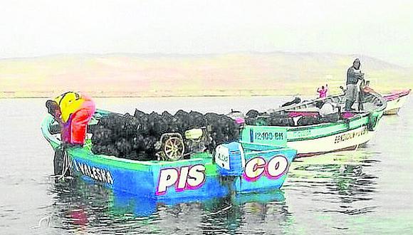 Embarcaderos pesqueros de la región no califican para exportar a la Unión Europea