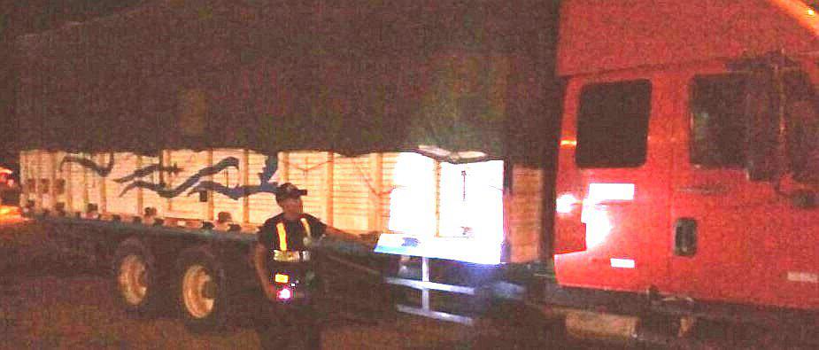 Policía incauta 30 mil soles de madera Moena Alcanfor 