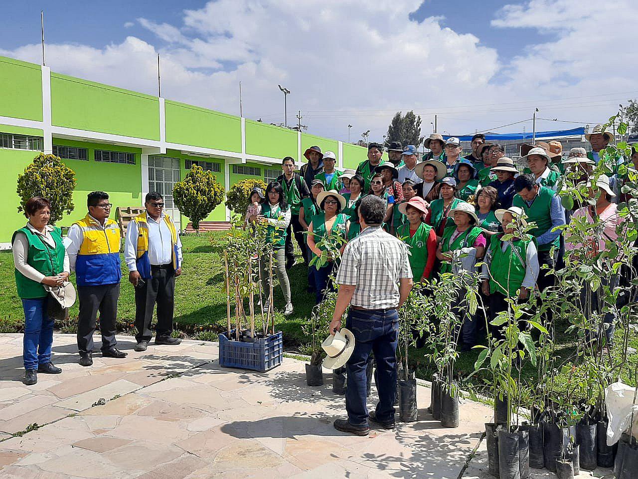 Siembran 60 arboles frutales en estadio de Alto Selva Alegre