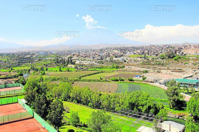 Fiscalía del Medio Ambiente realiza 50 investigaciones por depredar la campiña