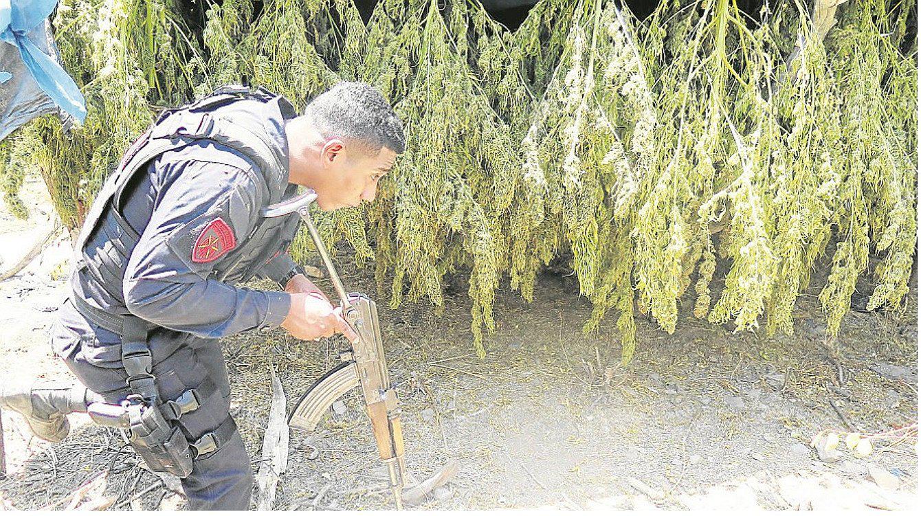 Piura: Descubren planta donde procesaban marihuana al por mayor (VIDEO)