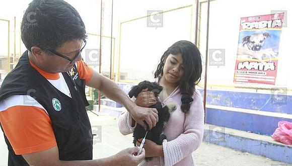 ​Rabia canina: Cronograma de vacunación en Mariano Melgar