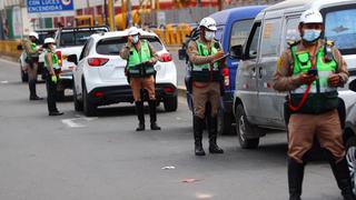 Panamericana Sur: Policía y Ejército realizan control vehicular (FOTOS)