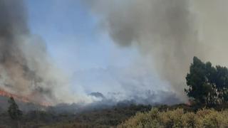 Huancavelica: Incendio forestal en Manchariscca arrasa más de 10 hectáreas