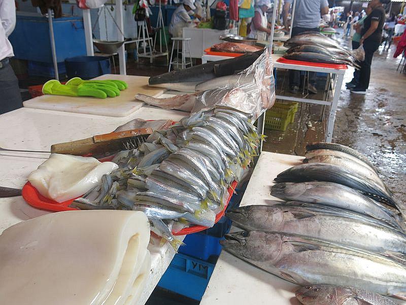 Arequipa: Declaran en emergencia la pesca artesanal 