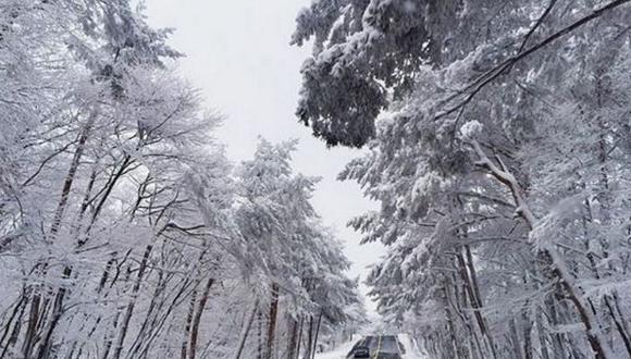 Corea del Sur: La nieve bloquea a 86.000 personas en una isla turística