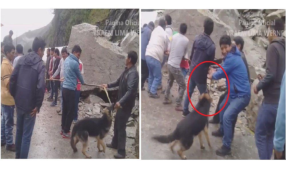 Perrito apoya a transportistas y pasajeros a reabrir vía bloqueada en el VRAEM (VIDEO)