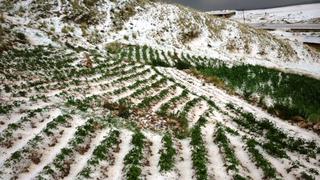 Agricultores perjudicados por fenómenos climatológicos serán indemnizados con 1 millón en Huancavelica
