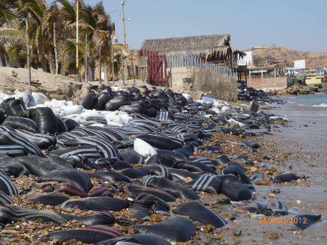 Oleaje destruye las bases en Máncora