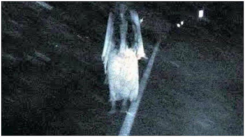 Revelan la verdadera historia de la leyenda de "La Llorona"