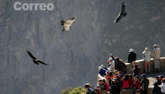 Arequipa: 5 mil visitarán el Colca en feriado por Semana Santa