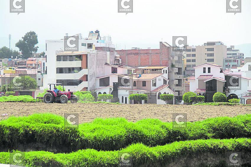 El 25% del área a modificarse del PDM está urbanizada