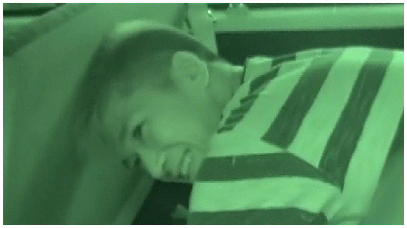 Japón: La perturbadora sonrisa del autor de la masacre en centro para discapacitados (VIDEO)