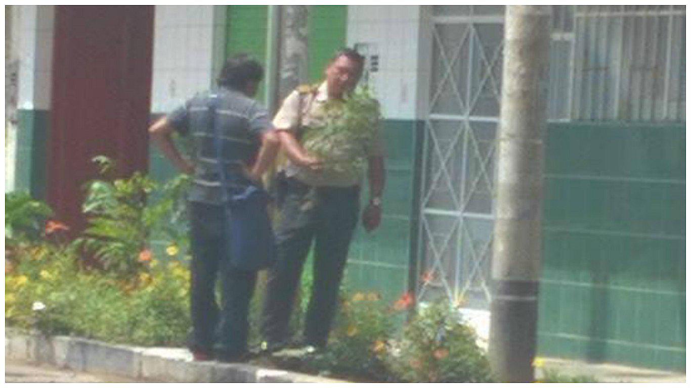 Lambayeque: Hallan planta de marihuana en el exterior de colegio inicial
