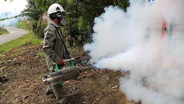 Disminuyen en más del 50% los casos de malaria en el Perú