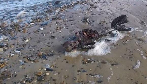 ¿Una sirena? Nadie se explica qué es este extraño cadáver en una playa inglesa (VIDEO)