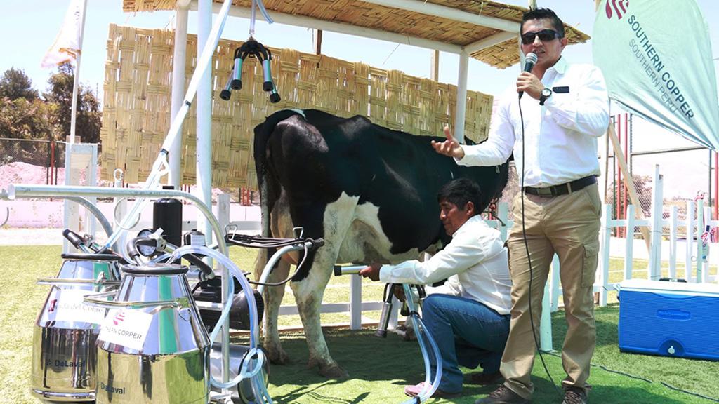 Entregan ordeñadoras para ganaderos de Coplay