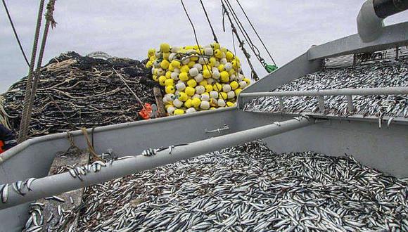 La pesca creció 52% en junio por un mayor desembarque de anchoveta