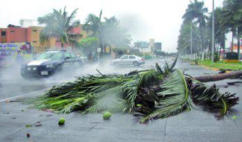 Huracán "Karl" inundó el puerto de Veracruz