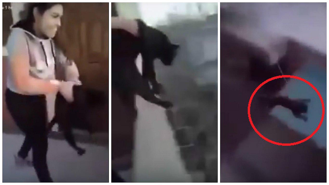 Facebook: Tiró al gato del cuarto piso para "ver si caía parada" y esto ocurrió (VIDEO)