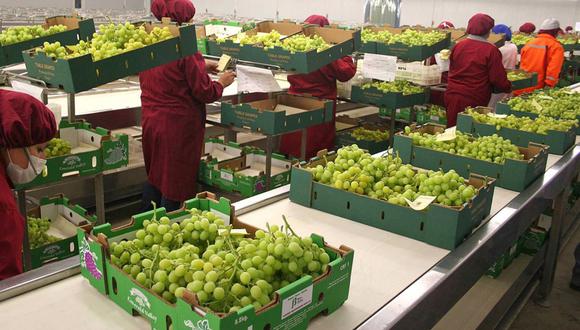A nivel de países, China fue el destino con las mayores ventas de alimentos. (Foto: GEC)