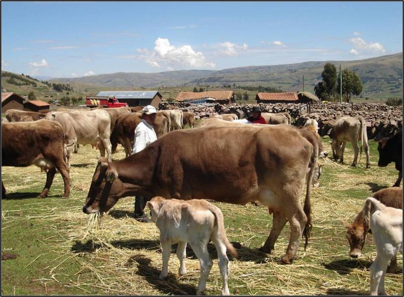 Identifican zonas endémicas en región