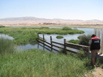 Presentan observaciones
 en los humedales de Ite