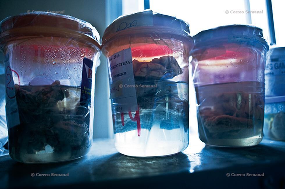 Paradero Final: crónica fotográfica sobre la Morgue de Lima