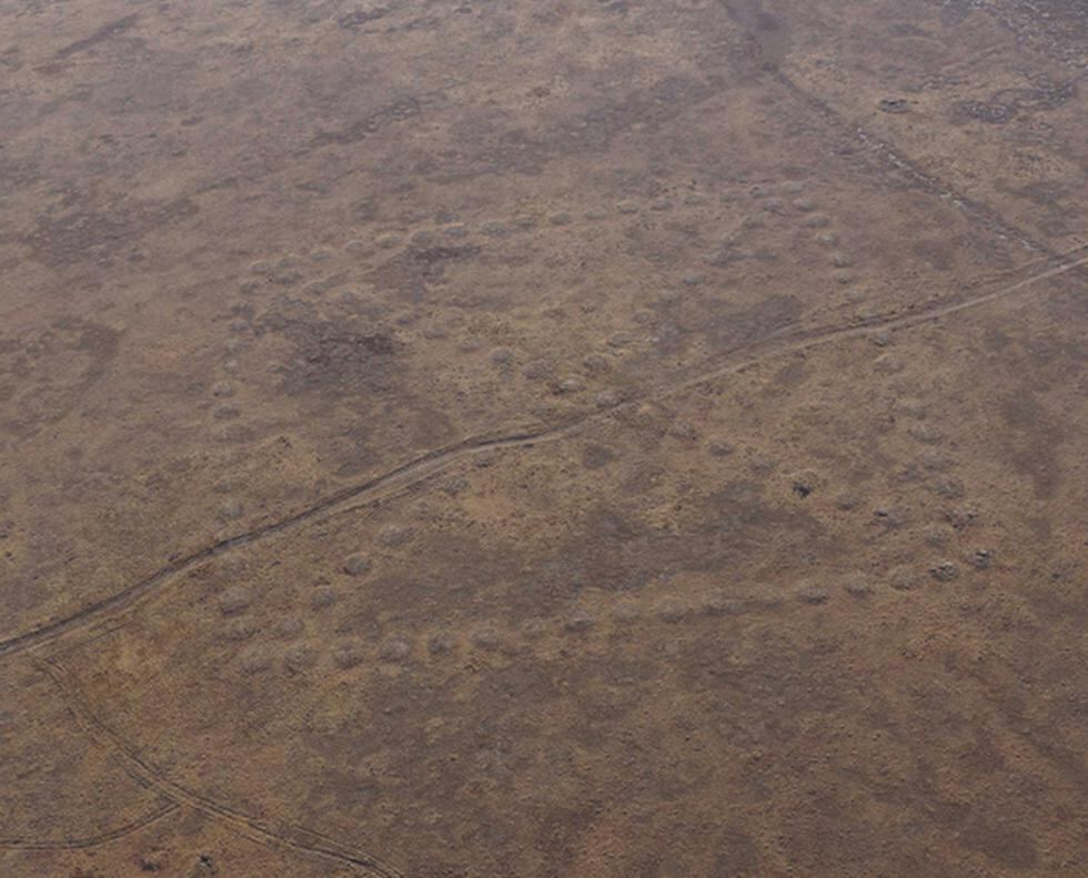 Hallan en Kazajistán geoglífos parecidos a Líneas de Nazca