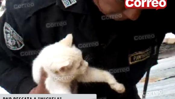 Niño y PNP rescatan a gatita atrapada entre dos paredes (VIDEO)