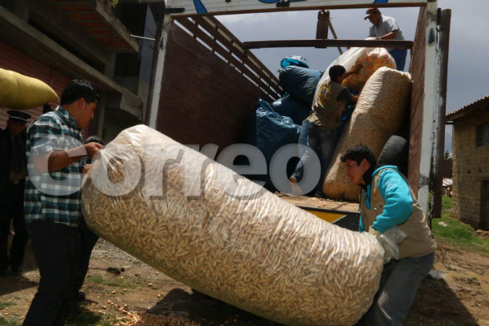 Decomisan costales de "cuculiches" de la muerte (VIDEO)