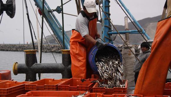 Decreto pesquero hace perder unos $250 millones al país