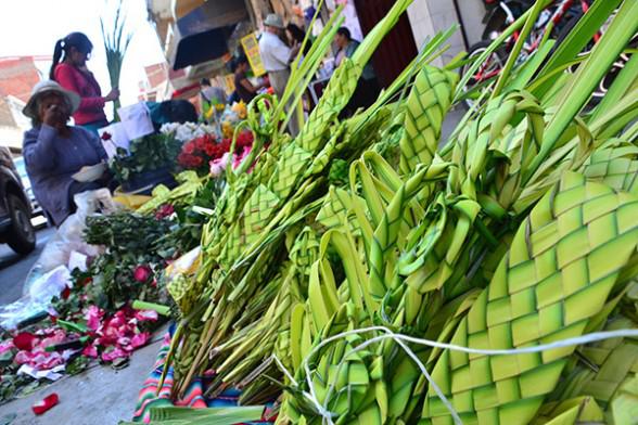 Mujeres sustentan sus hogares con venta de palmitos